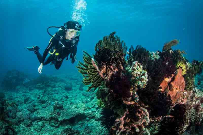 diving in bali 